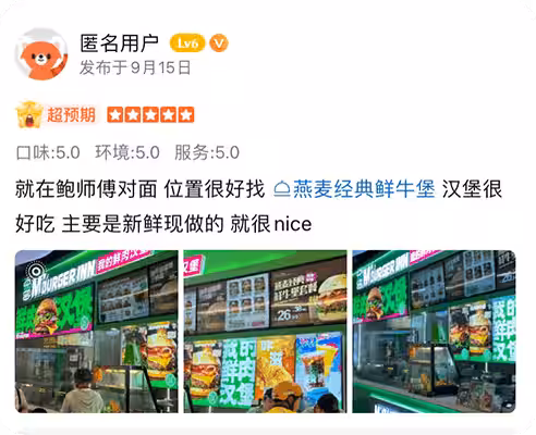汉堡印的评论